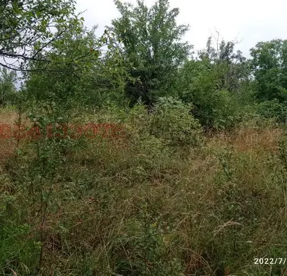 Photo 5 — Plot in Lovech, Golyama Jelyazna
