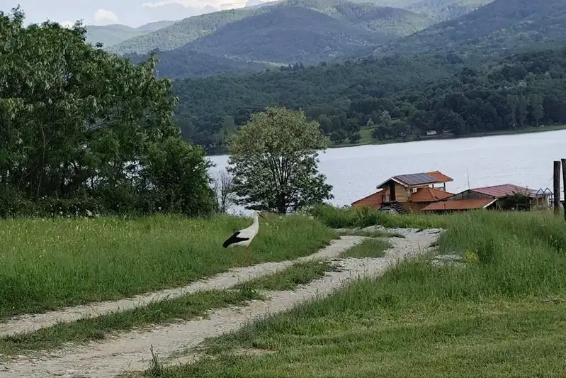 Plot in Oblast Lovech, Golyama Jelyazna