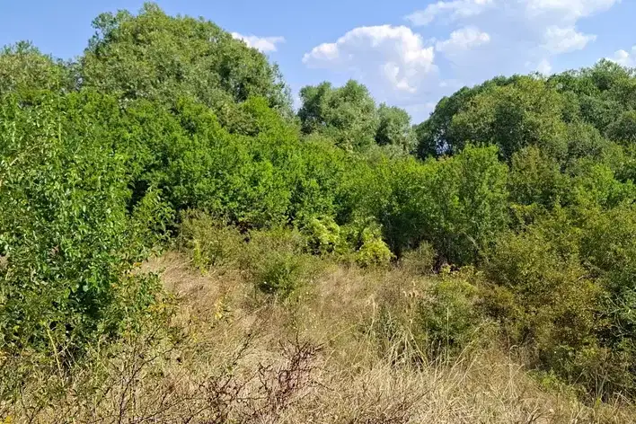 Парцел в София, с. Храбърско
