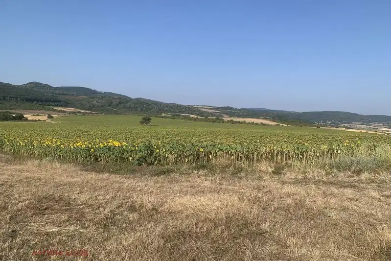 Plot in Sofia, Hrabyrsko