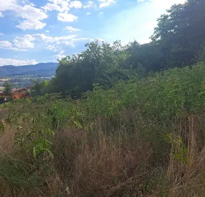 Photo 2 — Plot in Oblast Smolyan, Hvoina