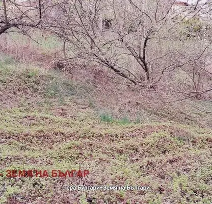 Photo 4 — Plot in Ivanyane