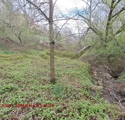 Photo 5 — Plot in Ivanyane