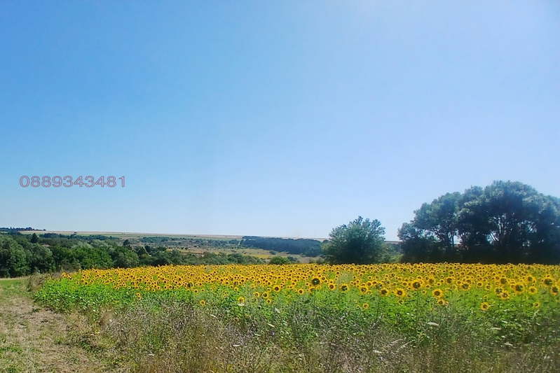 Plot in Oblast Varna, Izgrev