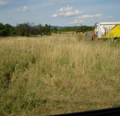 Photo 2 — Plot in Jiten