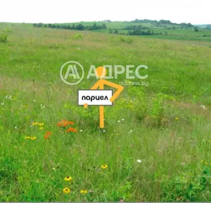 Photo 3 — Plot in Oblast Plovdiv, Kadievo