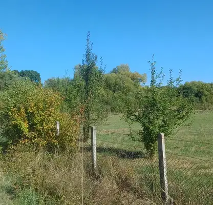 Photo 5 — Plot in Oblast Pernik, Kalishte