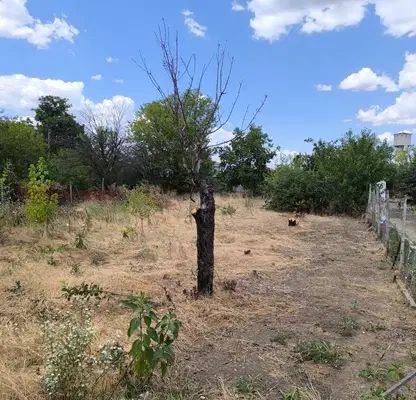 Photo 4 — Plot in Oblast Plovdiv, Karadjovo