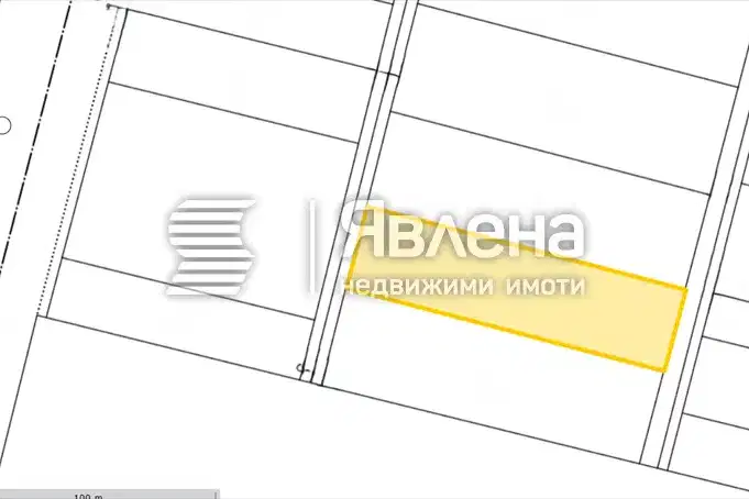 Plot in Kazichene
