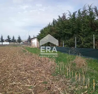 Photo 2 — Plot in Kazichene