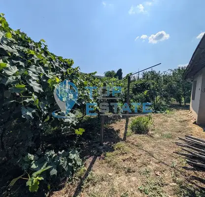 Photo 5 — Plot in Oblast Veliko Tyrnovo, Kesarevo
