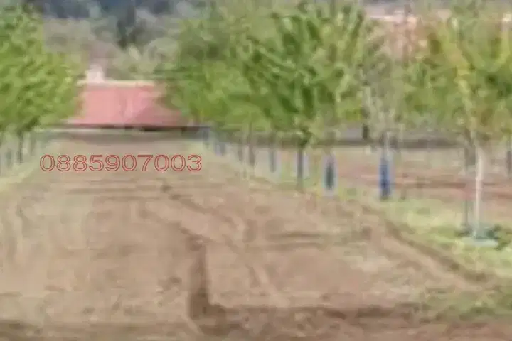 Plot in Oblast Stara Zagora, Kirilovo