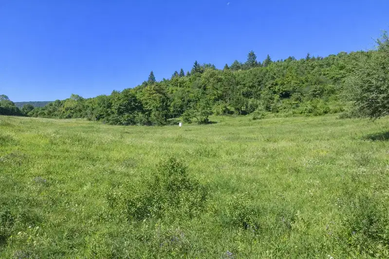 Plot in Kokalyane