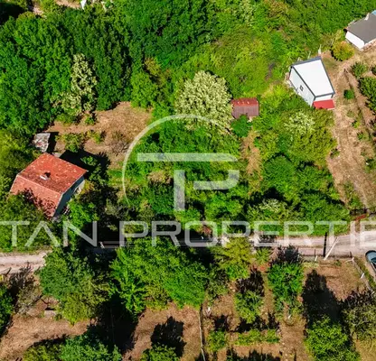 Photo 2 — Plot in Kokalyane