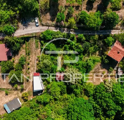 Photo 4 — Plot in Kokalyane