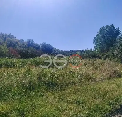 Photo 3 — Plot in Konstantinovo