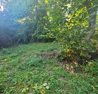 Photo 2 — Plot in Oblast Pernik, Kopanica
