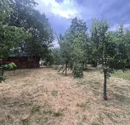 Снимка 4 — Парцел в Перник, с. Кошарите