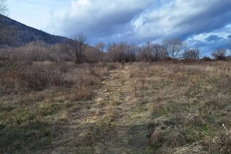 Plot in Sofia, Kostenec