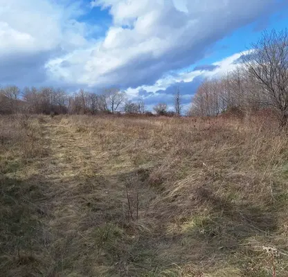 Photo 4 — Plot in Sofia, Kostenec