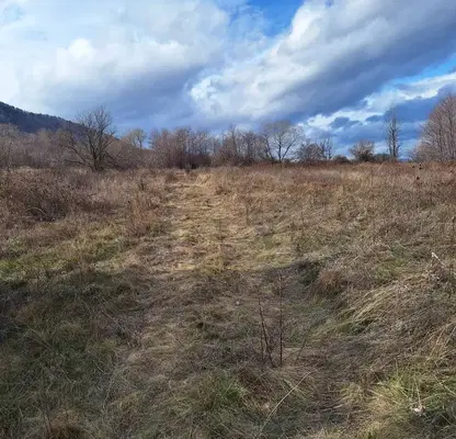 Photo 5 — Plot in Sofia, Kostenec