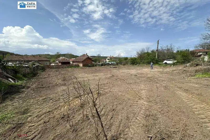 Plot in Montana, Krapchene