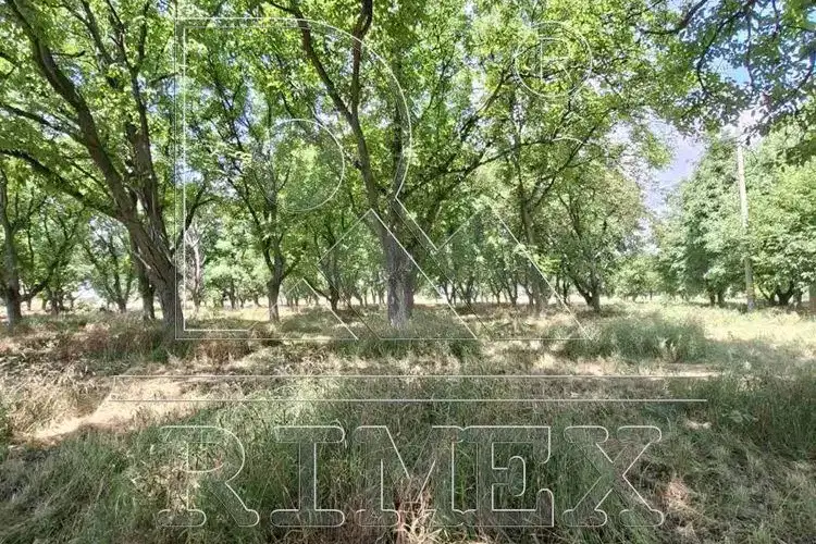 Plot in Plovdiv, Kurtovo Konare