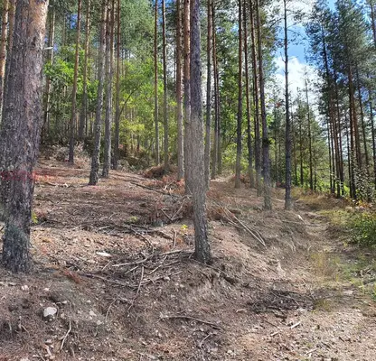 Photo 4 — Plot in Blagoevgrad, Leshten