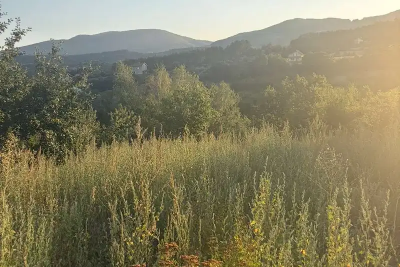 Plot in Blagoevgrad, Logodaj