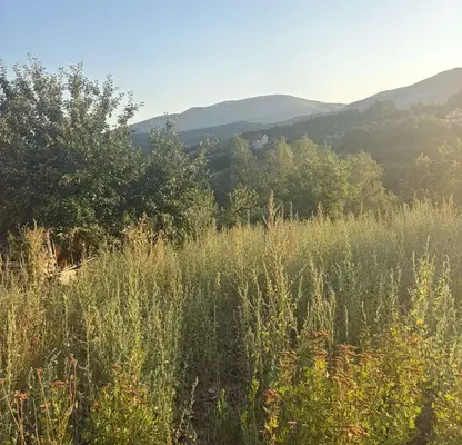 Photo 4 — Plot in Blagoevgrad, Logodaj