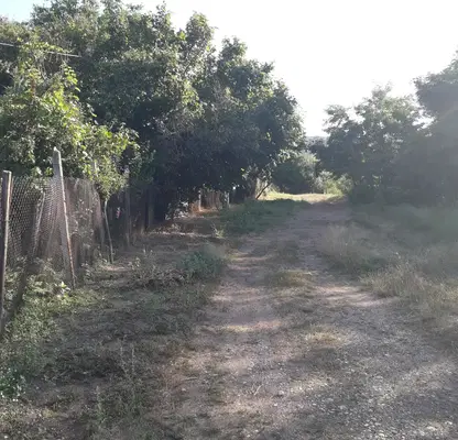 Photo 2 — Plot in Lokorsko