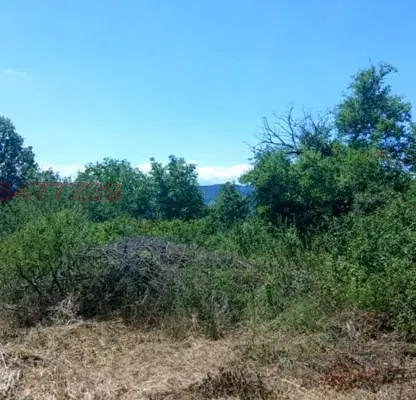 Снимка 5 — Парцел в Габрово, с. Ловнидол
