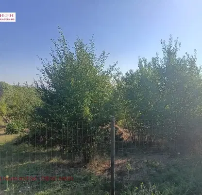 Photo 5 — Plot in Lozen