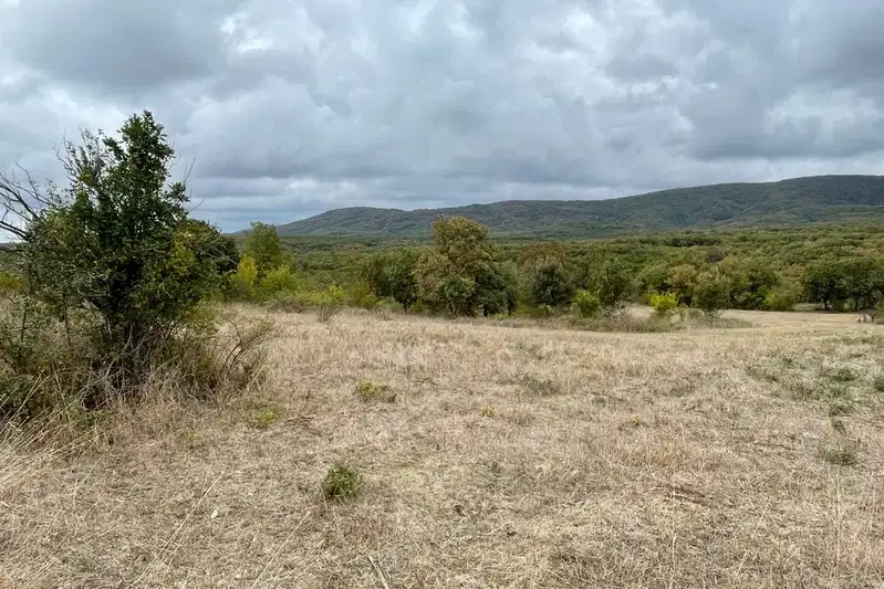 Plot in Burgas, Lozenec