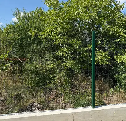 Снимка 3 — Парцел в Кюстендил, с. Лозно