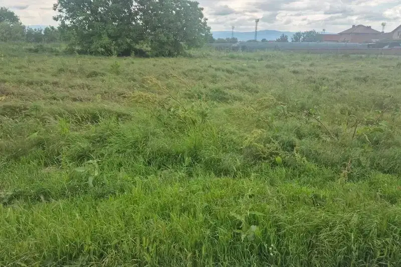 Plot in Plovdiv, Manole