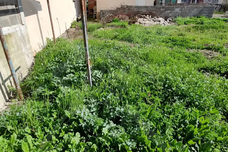 Plot in Marinka