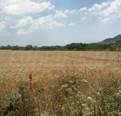 Photo 4 — Plot in Oblast Burgas, Medovo