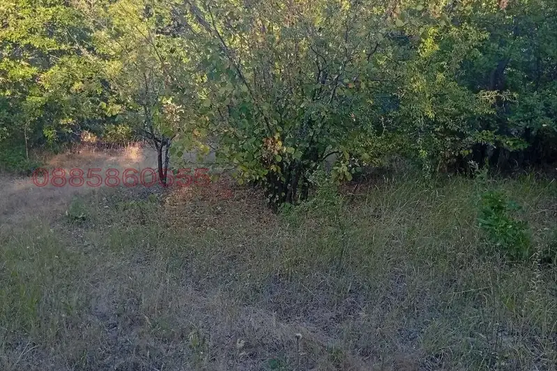 Plot in Veliko Tyrnovo, Momin Sbor