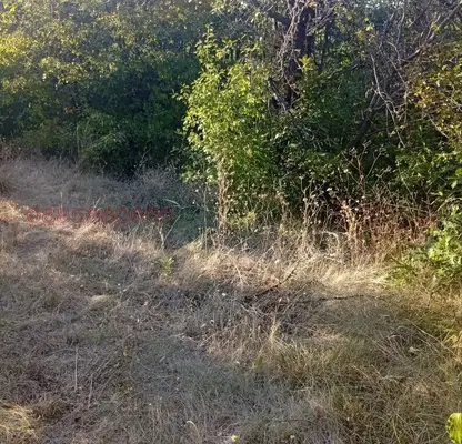 Photo 3 — Plot in Veliko Tyrnovo, Momin Sbor