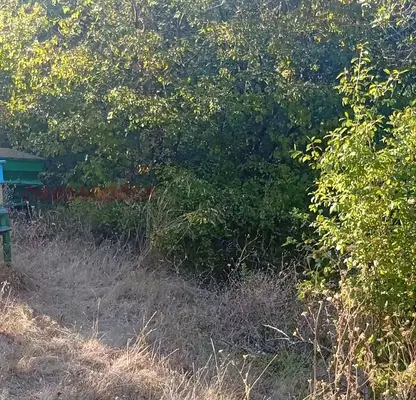 Photo 4 — Plot in Veliko Tyrnovo, Momin Sbor