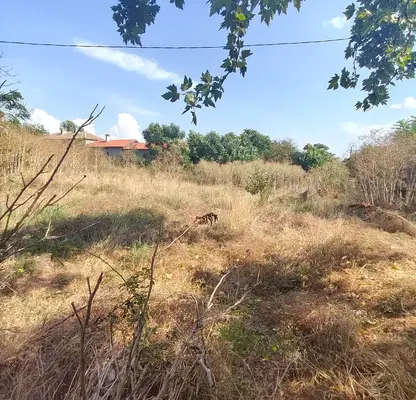 Photo 2 — Plot in Oblast Varna, Neofit Rilski