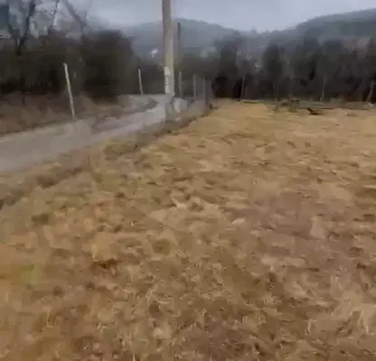 Photo 4 — Plot in Oblast Pernik, Noevci