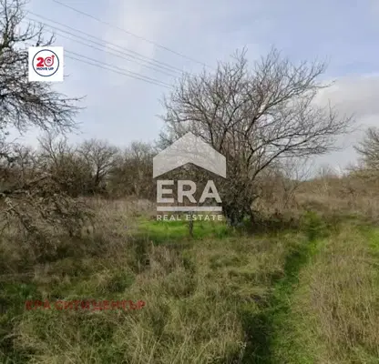 Снимка 4 — Парцел в Стара Загора, с. Ново село