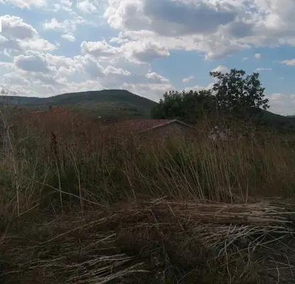 Снимка 3 — Парцел в Добрич, с. Оброчище
