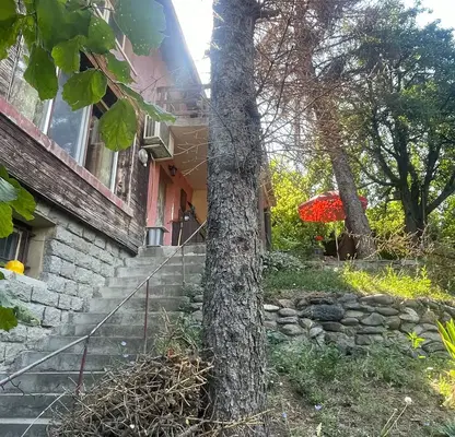 Photo 4 — Plot in Pancharevo