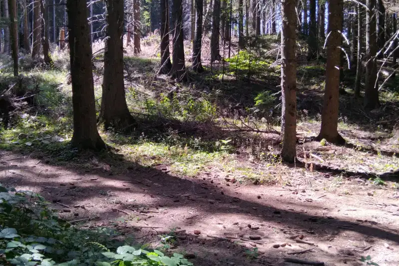 Plot in Kyustendil, Panichishte