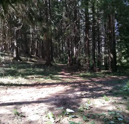 Photo 2 — Plot in Kyustendil, Panichishte