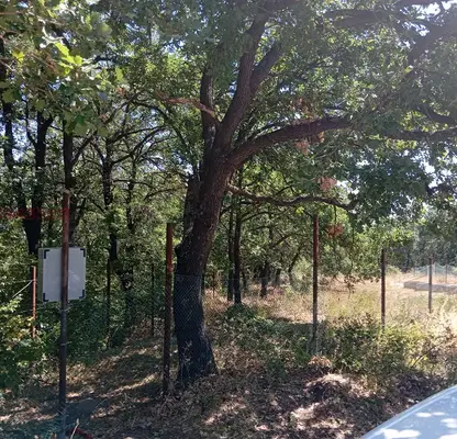 Снимка 2 — Парцел в Пазарджик, с. Паталеница