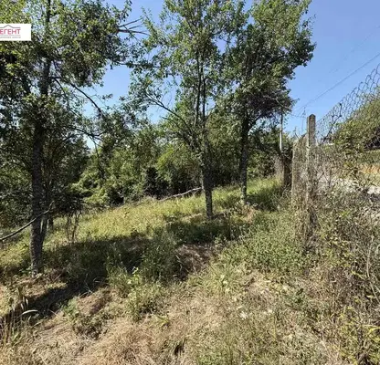 Снимка 3 — Парцел в Габрово, с. Пецовци